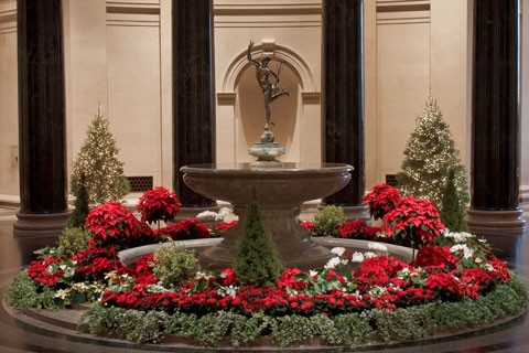 View of the West Building Rotunda decorated with poinsettia plants and holiday greenery.