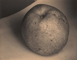 Edward Steichen, An Apple, A Boulder, A Mountain, 1921 platinum print. Patrons' Permanent Fund, 2014