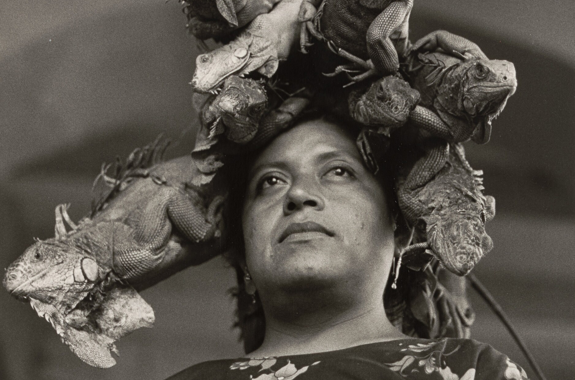 black and white photograph of a woman's hear with five iguanas standing on her head, creating a crown effect. The woman stares up and to the right with a stoic impression on her face.
