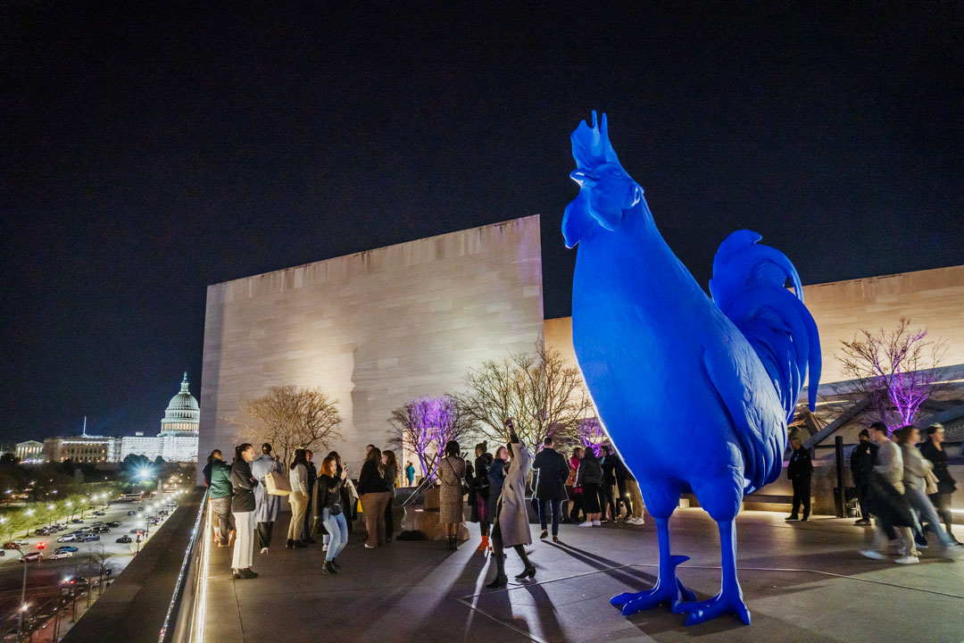 At National Gallery Nights, visitors gather under Katharina Fritsch’s "Hahn / Cock"