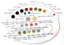 AMRSC-Dead-color-Palette