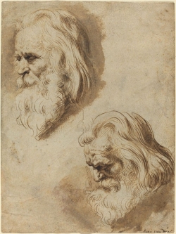 Pontius-After-Rubens