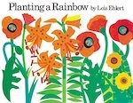 planting-rainbow