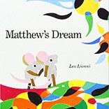 detail-matthews-dream-book-cover