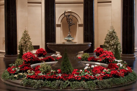 View of the West Building Rotunda decorated with poinsettia plants and holiday greenery. Photograph by Charles Bauduy © National Gallery of Art, Washington