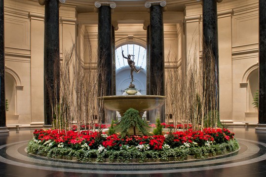 Stunning floral displays in the West Building Rotunda rotate throughout the winter and into spring.