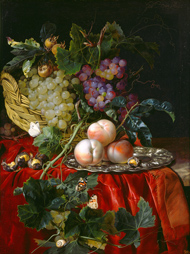 Willem van Aelst Still Life with Fruit, Nuts, Butterflies, and Other Insects on a Ledge, c. 1677 oil on canvas Candy and Greg Fazakerley