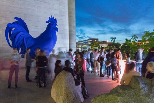 At a recent NGA Nights, visitors gather under Katharina Fritsch’s "Hahn/Cock" (2013), on long-term loan courtesy of Glenstone Museum.