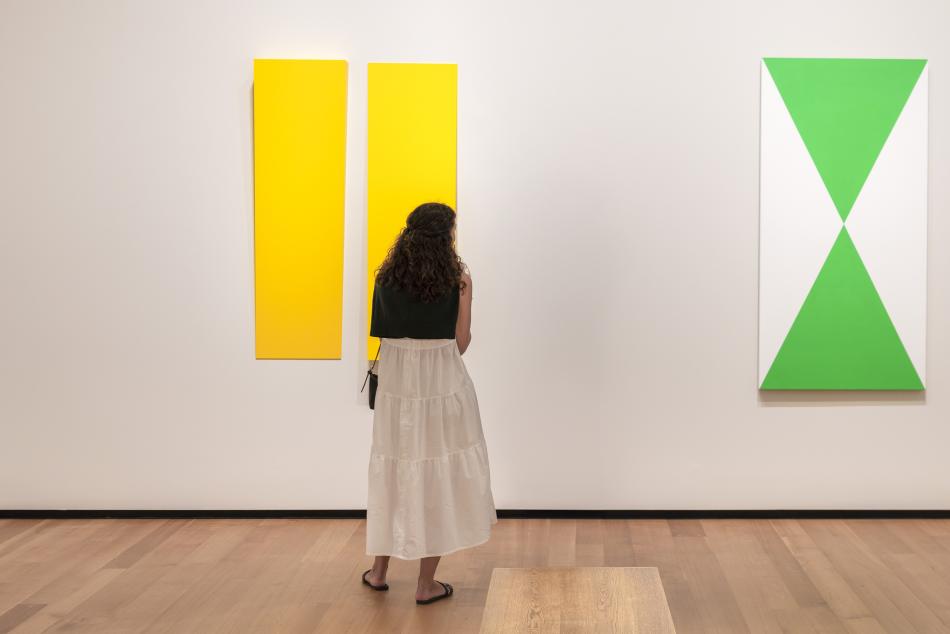 A woman is shown from behind in a white dress with a black sweater hanging over her shoulders. She stands looking towards two abstract paintings hanging on a white wall. A two piece vibrant yellow painting hangs to the left. On the right is a painting with two triangles of kelly green one of which is inverted so they meet in the middle of the canvas. The remaining left and right of the canvas is a solid white.