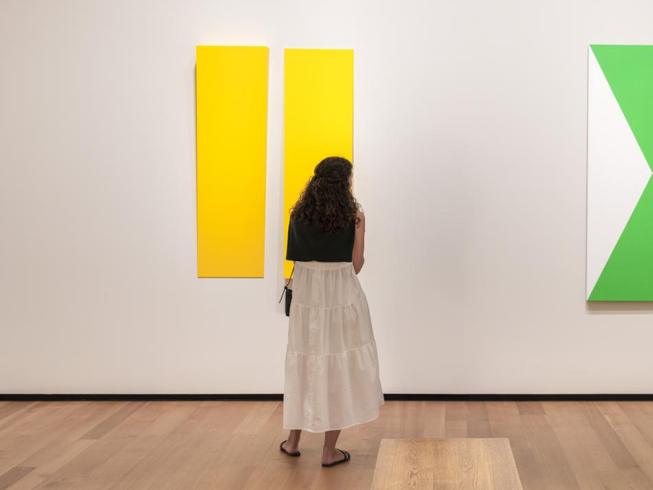 A woman is shown from behind in a white dress with a black sweater hanging over her shoulders. She stands looking towards two abstract paintings hanging on a white wall. A two piece vibrant yellow painting hangs to the left. On the right is a painting with two triangles of kelly green one of which is inverted so they meet in the middle of the canvas. The remaining left and right of the canvas is a solid white.