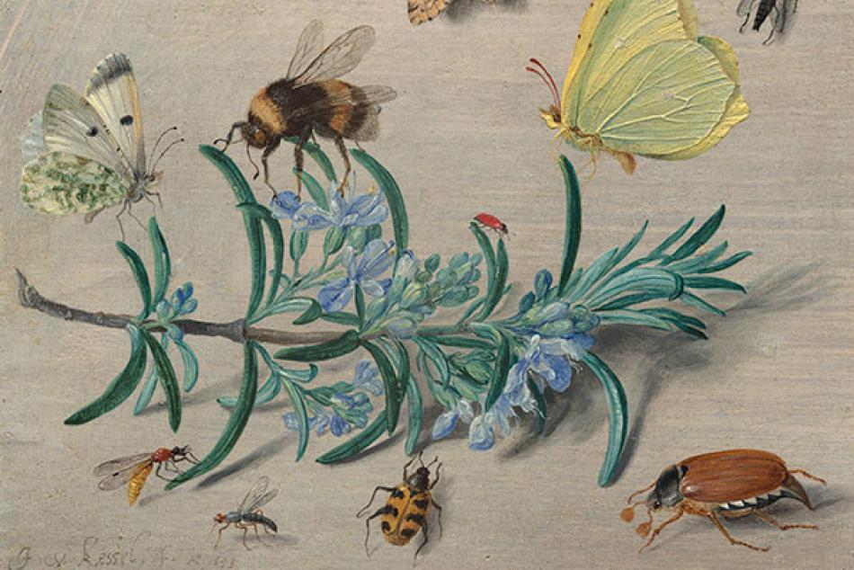 image detail: Jan van Kessel the Elder, "Insects and a Sprig of Rosemary", 1653, oil on panel