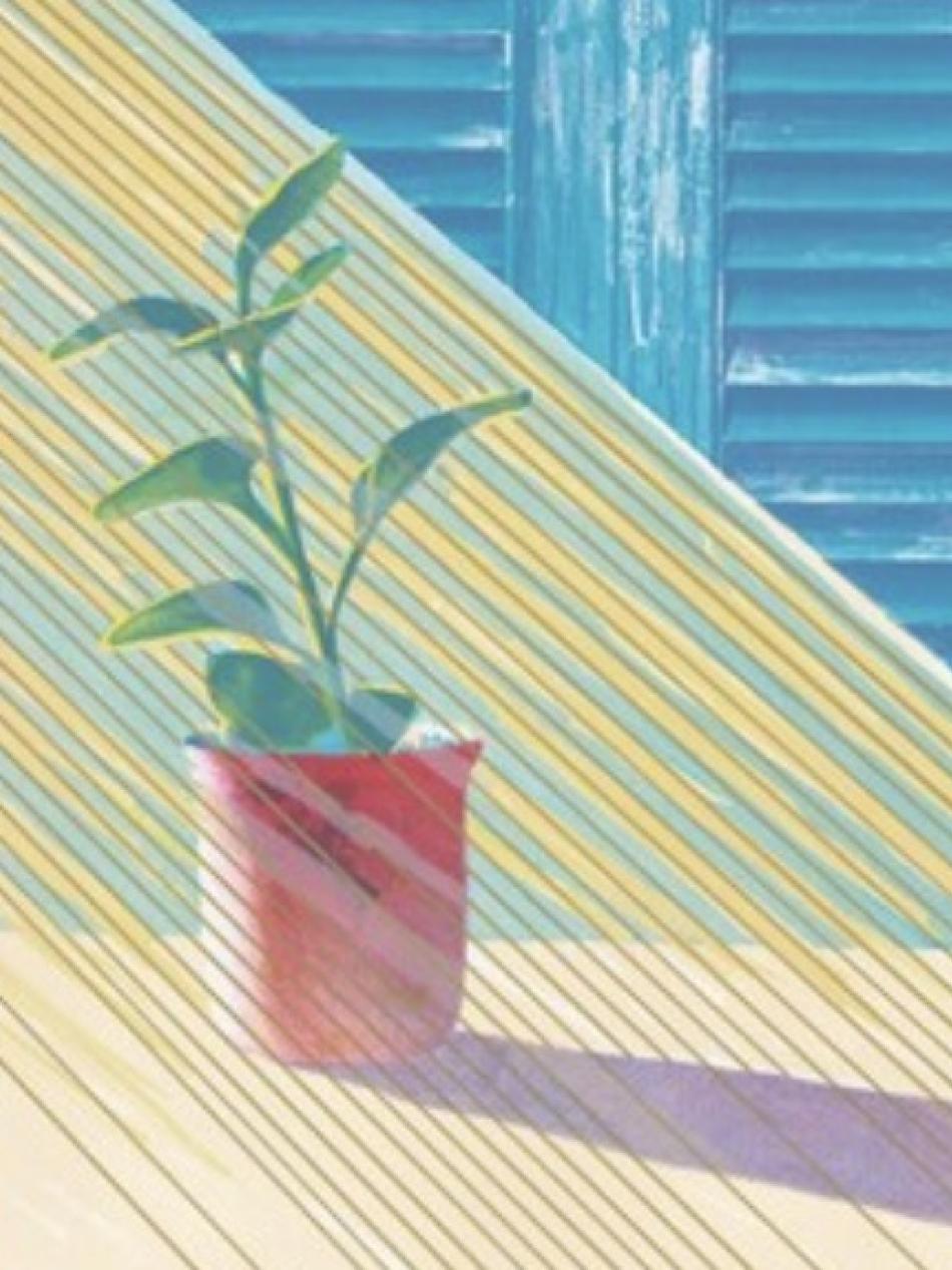 There is a potted plant on a table. Sunlight streams in from the upper left.