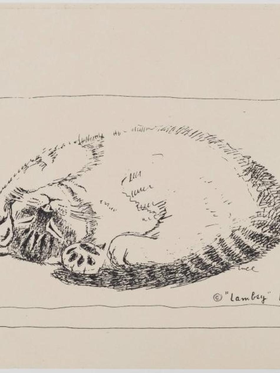 This drawing is of a cat curled up and on it's back. It's left paw is rubbing it's face.