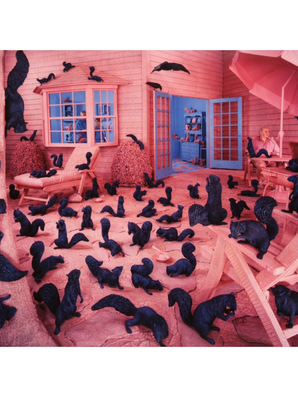  A woman sits under a pink umbrella on a patio filled with numerous black squirrels and crows; the setting includes pink-toned furniture, a tree, and a wooden house with open blue doors and windows.