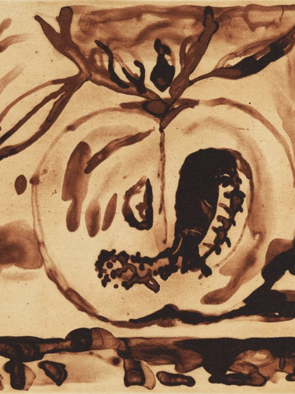 This brown watercolor is of a fruit cut in half on a table