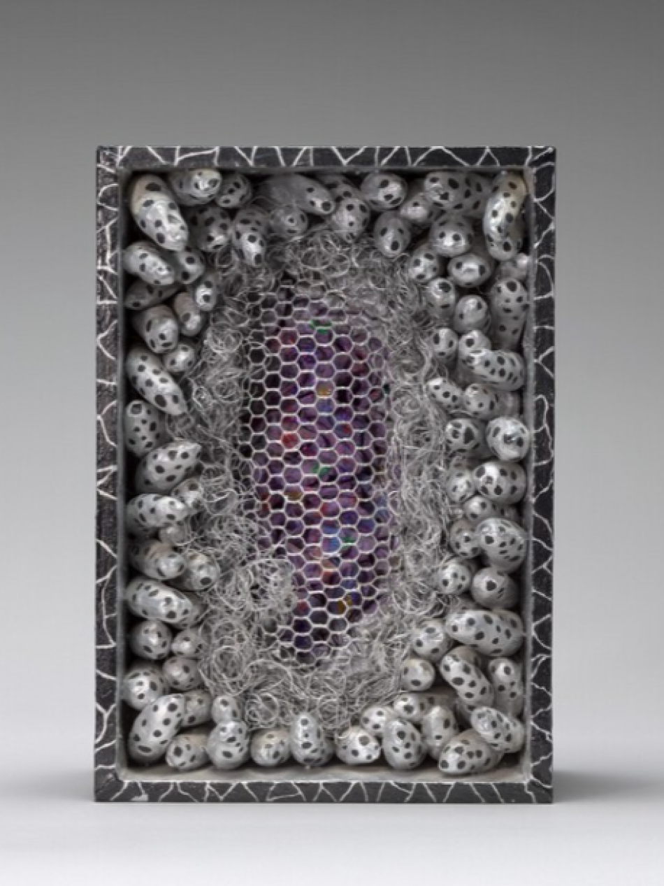 A rectangular box filled with silver, spotted, cocoon-like forms surrounding a central mesh-covered area with a purple, iridescent interior and tangled gray fibers.