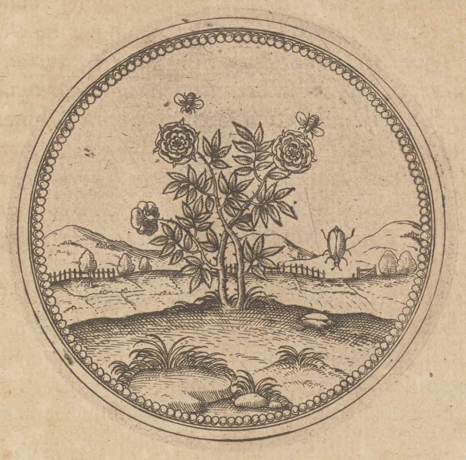 Joachim Camerarius (author) Johann Siebmacher (illustrator) Ludwig Camerarius (editor) Gotthard Vögelin (printer), Symbolorum et emblematum centuriae quatuor (Four hundred symbols and emblems), Heidelberg, 1605, David K. E. Bruce Fund