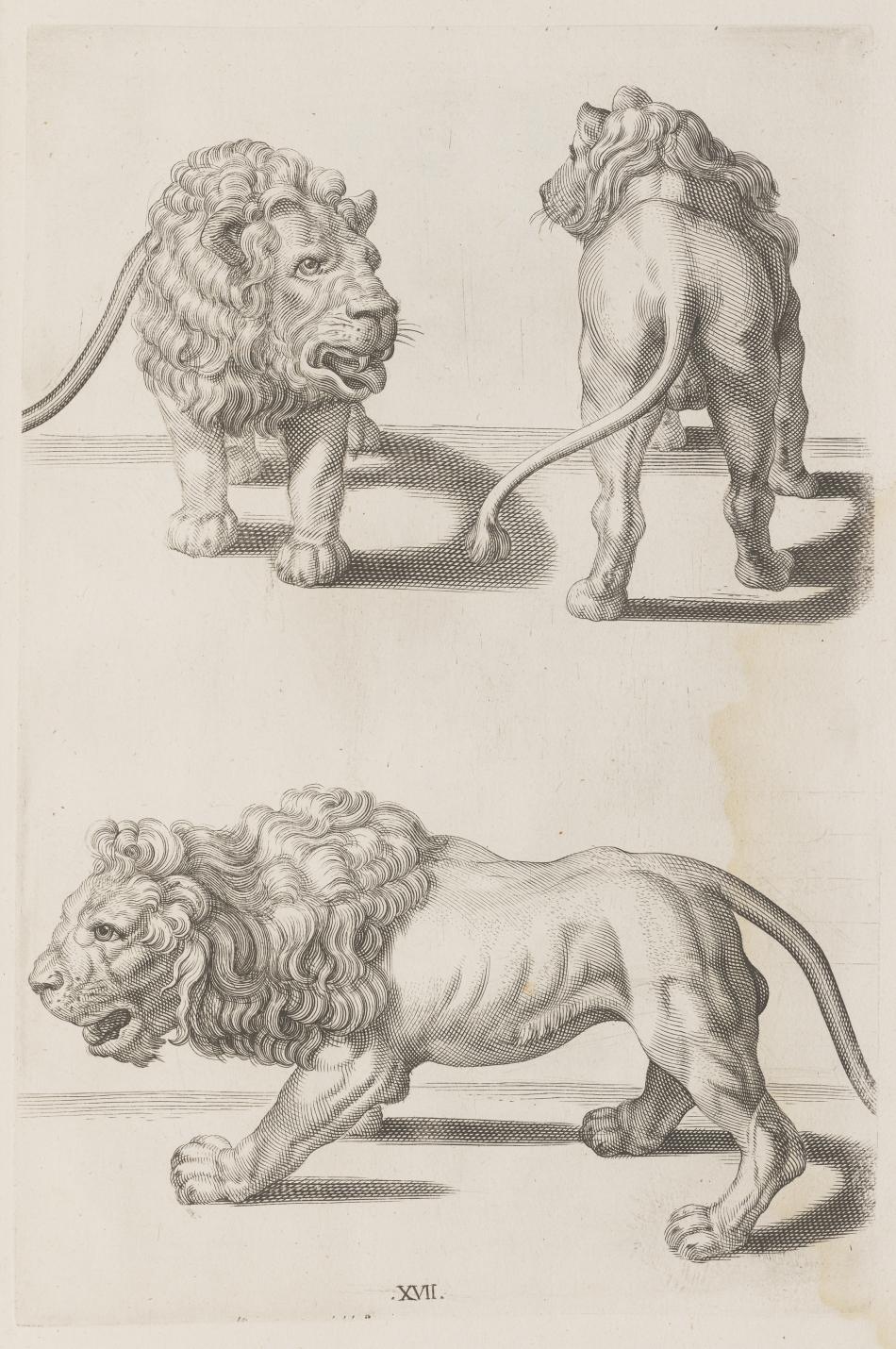 Crispijn van de Passe II (author and illustrator), Jan Jantsz (publisher), La prima-[quinta] parte della luce del dipingere et disegnare (The first-[fifth] part of the light of painting and drawing), Amsterdam, 1643-1644, David K. E. Bruce Fund