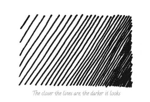 Explore the Basics of Drawing | National Gallery of Art