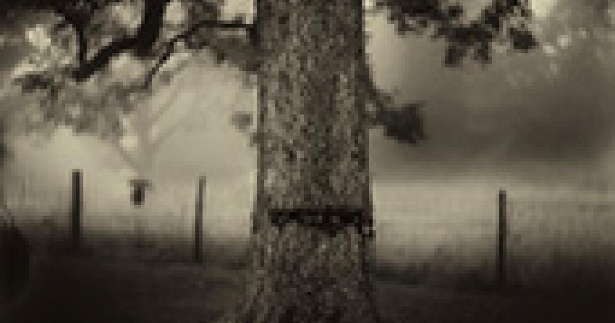 Sally Mann: A Thousand Crossings | National Gallery of Art